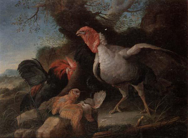unknow artist Still life of a turkey,a bantan,a barn owl and a grey partridge in a rocky landscape Spain oil painting art